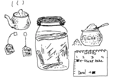 Diverse interests help us understand the world better